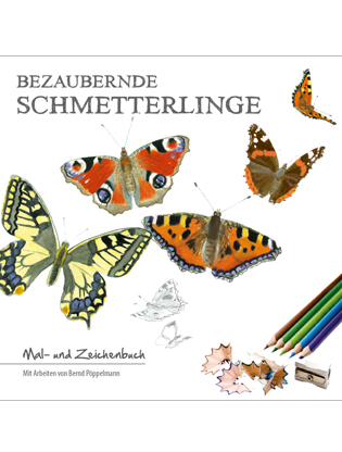 Bezaubernde_Schmetterlinge_web