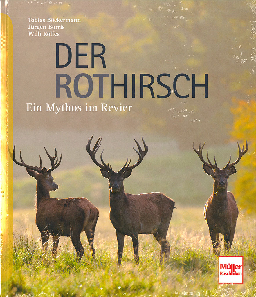 mr2016-der-rothirsch-ein-mythoas-im-revier