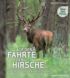 Auf der faehrte der hirsche